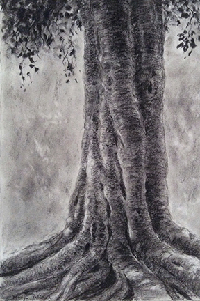 Paintings and Drawings by Manju Panchal: Charcoal drawing of a tree